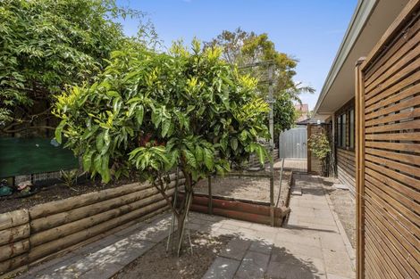 Photo of property in 47a Maranui Street, Mount Maunganui, 3116