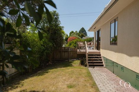 Photo of property in 204b Ohauiti Road, Ohauiti, Tauranga, 3112