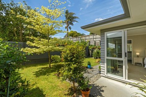 Photo of property in 16 Saint Michaels Avenue, Bethlehem, Tauranga, 3110