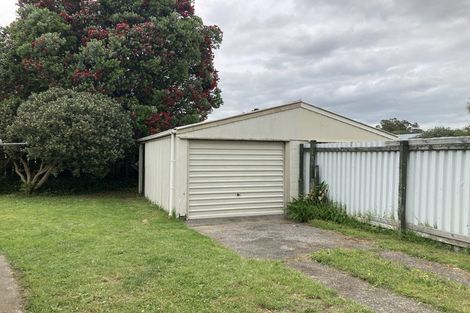 Photo of property in 38 James Henry Crescent, Huntly, 3700