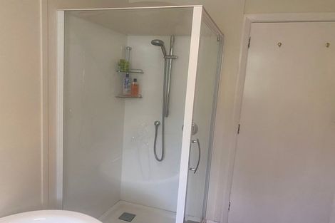 Photo of property in 45 Alfred Street, Roslyn, Palmerston North, 4414