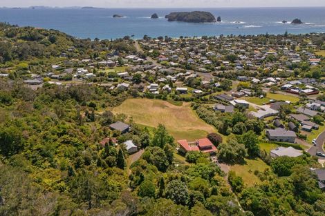 Photo of property in 92 Hahei Beach Road, Hahei, Whitianga, 3591