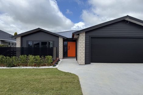 Photo of property in 26 Winchester Street, Levin, 5510