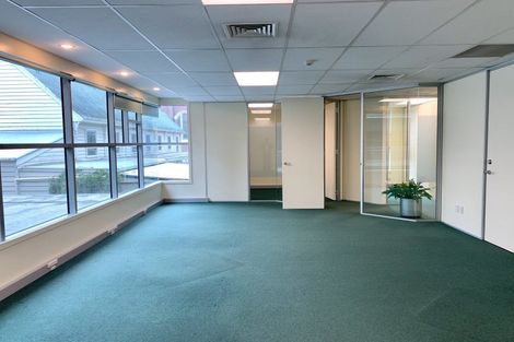 Photo of property in 8a Madeira Lane, Grafton, Auckland, 1023