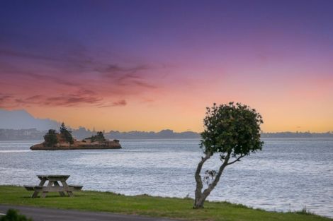 Photo of property in 26 Esplanade Road, Tahawai, 3170