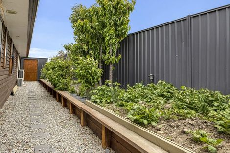 Photo of property in 59 Missy Crescent, Mount Pisa, Cromwell, 9383