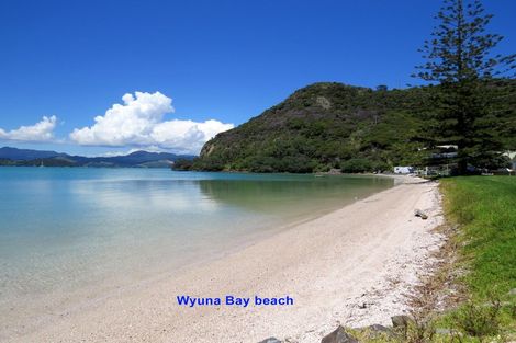 Photo of property in 145 Mannion Road, Wyuna Bay, Coromandel, 3581