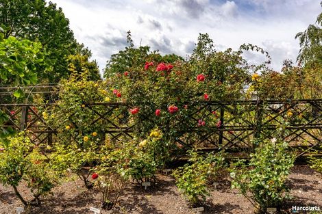 Photo of property in 146 Eden Road, Tasman, Upper Moutere, 7175