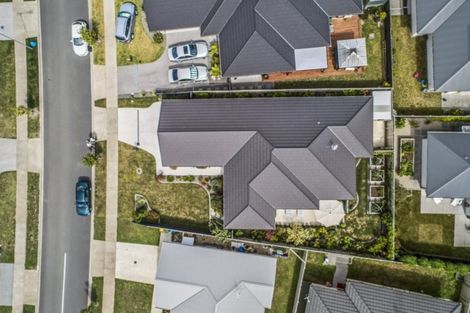 Photo of property in 31 Tuaia Street, Pyes Pa, Tauranga, 3112