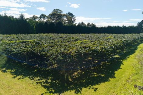 Photo of property in 93 Te Puna Quarry Road, Minden, Tauranga, 3179