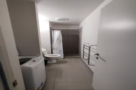 Photo of property in St Paul Apartments, 1b/4 Saint Paul Street, Auckland Central, Auckland, 1010