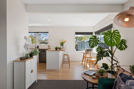 Photo of property in 19 Eglinton Street, Avondale, Christchurch, 8061