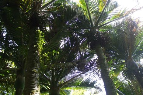 Photo of property in 61 Glasseye Drive, Little Wanganui, Karamea, 7893