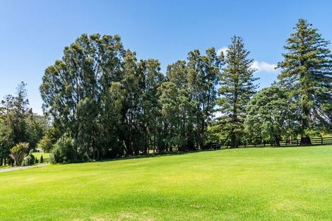 Photo of property in 390 Tara Road, Mangawhai, Kaiwaka, 0573