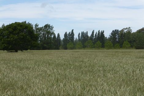 Photo of property in 72 Grahams Road, Tinwald, Ashburton, 7774