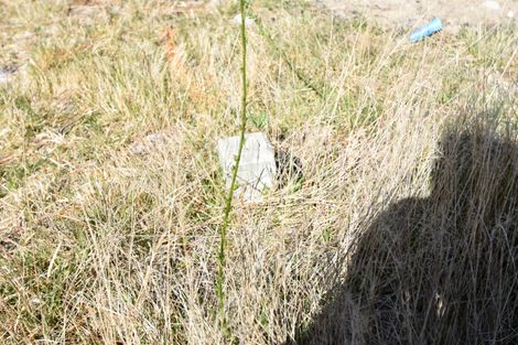 Photo of property in 78 Ohau Drive, Lake Ohau, Twizel, 9412