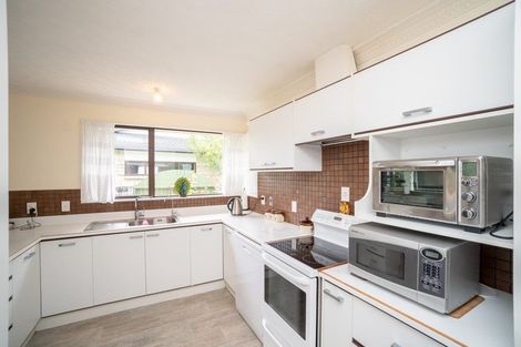 Photo of property in 100 Monrad Street, Highbury, Palmerston North, 4412