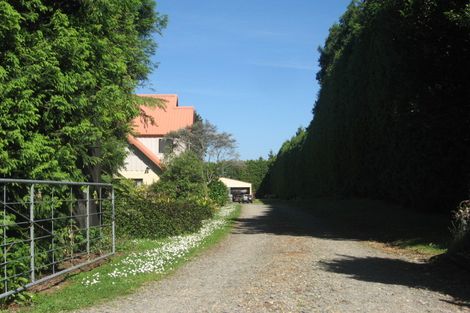 Photo of property in 385 Whakamarama Road, Whakamarama, Tauranga, 3179