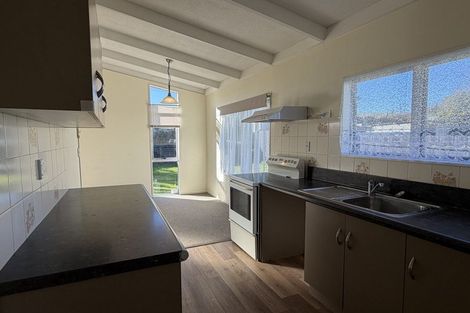 Photo of property in 29 Riley Place, Fitzroy, Hamilton, 3206