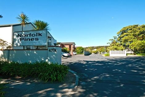 Photo of property in Norfolk Pines, 39/437b Albany Highway, Albany, Auckland, 0632