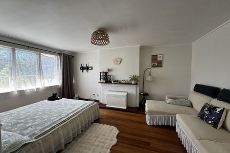 Photo of property in 45 Graham Street, Hamilton East, Hamilton, 3216