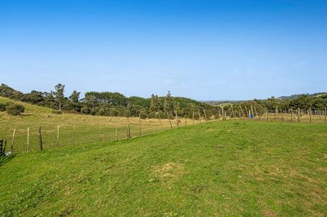 Photo of property in 211 Wilson Road, South Head, Helensville, 0874