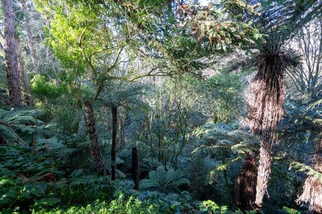 Photo of property in 7 Belloc Street, Leamington, Cambridge, 3432