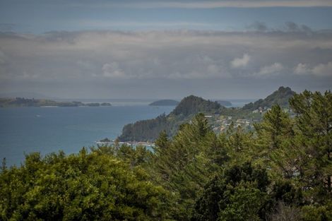 Photo of property in 127 Pumpkin Hill Road, Pumpkin Hill, Whitianga, 3591