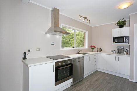 Photo of property in 19 Harrisville Road, Tuakau, 2121