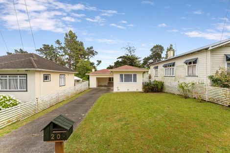 Photo of property in 20 Plunket Street, Durie Hill, Whanganui, 4500