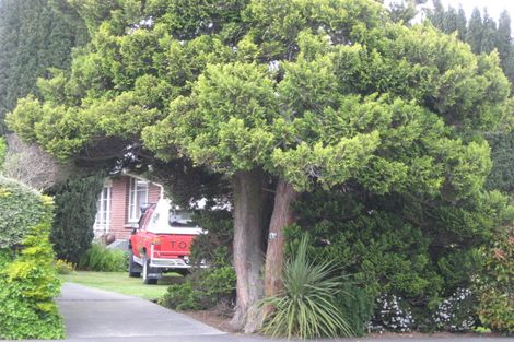 Photo of property in 25 Springbank Street, Bryndwr, Christchurch, 8053