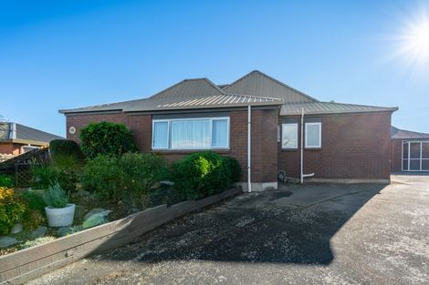 Photo of property in 24a Orielton Place, Gleniti, Timaru, 7910
