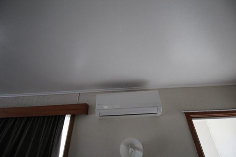 Photo of property in 391 College Street, Hokowhitu, Palmerston North, 4410