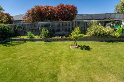 Photo of property in 17 Joyce Place, Richmond, 7020