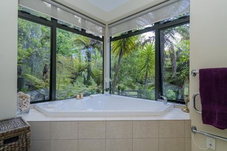 Photo of property in 51 Rewa Rewa Valley, Tairua, 3508