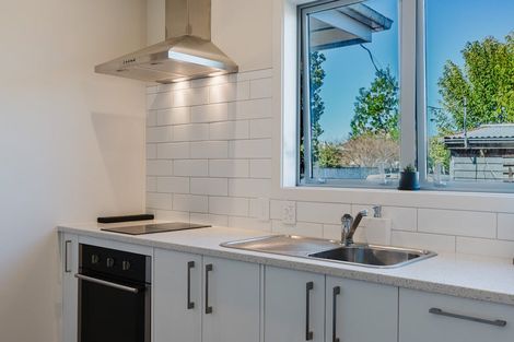 Photo of property in 120 Clarkin Road, Fairfield, Hamilton, 3214