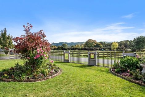 Photo of property in 110 Kinloch Road, Kinloch, Taupo, 3377