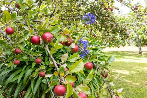 Photo of property in 9a North Foreland Street, Waihola, Milton, 9073