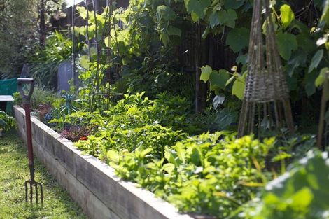 Photo of property in 11 Tane Road, Laingholm, Auckland, 0604