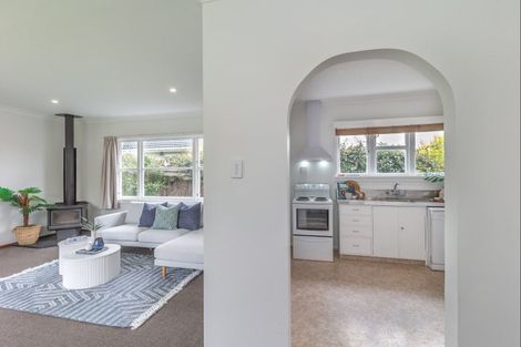 Photo of property in 26 Graham Street, Levin, 5510