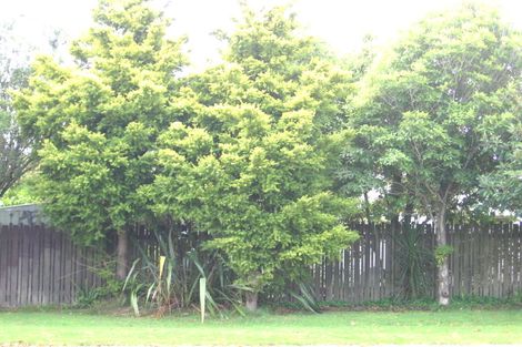 Photo of property in 2/101 Swanson Road, Henderson, Auckland, 0610