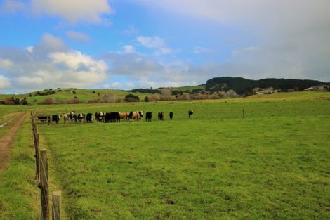 Photo of property in 1008 Tangowahine Valley Road, Tangowahine, Dargaville, 0372
