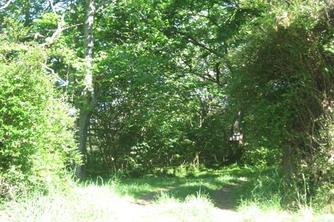 Photo of property in 387 Whakamarama Road, Whakamarama, Tauranga, 3179