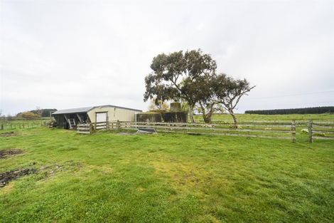 Photo of property in 390 Beamish Road, Santoft, Bulls, 4894