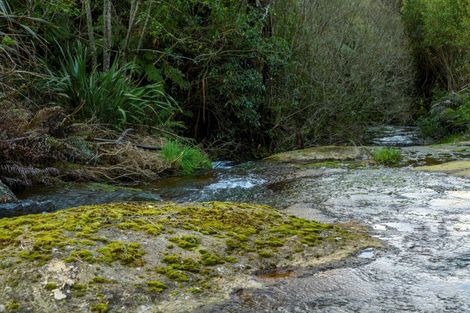 Photo of property in 771 Whakamarama Road, Whakamarama, Tauranga, 3179
