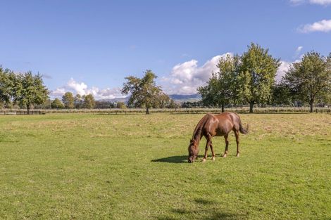 Photo of property in 106 Burdon Road, Woodbury, Geraldine, 7991