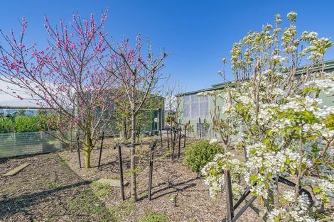 Photo of property in 56 Verdeco Boulevard, Lincoln, 7608