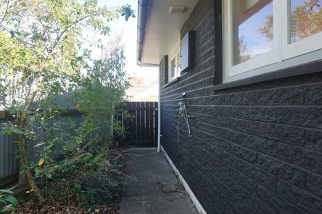 Photo of property in 5 James Cook Street, Havelock North, 4130