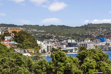 Photo of property in The Capital, 21/370 Oriental Parade, Oriental Bay, Wellington, 6011