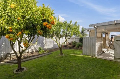Photo of property in 60 Oteki Park Drive, Welcome Bay, Tauranga, 3112